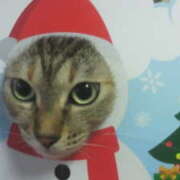 ヒメ日記 2025/12/24 08:00 投稿 リオ 川崎三浦屋