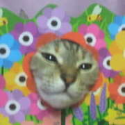 ヒメ日記 2026/01/02 19:25 投稿 リオ 川崎三浦屋