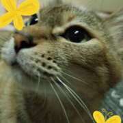 ヒメ日記 2026/01/06 08:34 投稿 リオ 川崎三浦屋