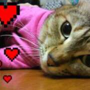 ヒメ日記 2026/01/08 07:51 投稿 リオ 川崎三浦屋