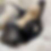 ヒメ日記 2026/01/21 08:38 投稿 リオ 川崎三浦屋