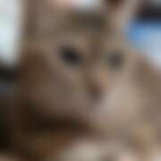 ヒメ日記 2026/02/11 07:50 投稿 リオ 川崎三浦屋