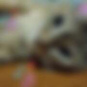 ヒメ日記 2026/04/13 08:45 投稿 リオ 川崎三浦屋