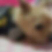 ヒメ日記 2026/06/27 07:05 投稿 リオ 川崎三浦屋