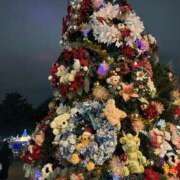 ヒメ日記 2024/12/06 16:54 投稿 せれな チョコメロ