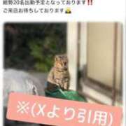 ヒメ日記 2025/01/07 07:59 投稿 まりな sweet kiss