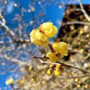 ヒメ日記 2025/02/17 11:59 投稿 まりな sweet kiss