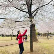 ヒメ日記 2025/04/07 07:19 投稿 まりな sweet kiss