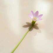 ヒメ日記 2026/03/11 14:39 投稿 まりな sweet kiss