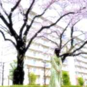 ヒメ日記 2026/04/03 13:09 投稿 まりな sweet kiss