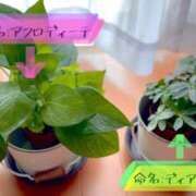 ヒメ日記 2026/09/05 21:09 投稿 まりな sweet kiss
