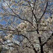 ヒメ日記 2025/04/04 10:20 投稿 じゅり 人妻熟女奉仕倶楽部