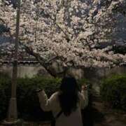 ヒメ日記 2025/04/06 20:10 投稿 じゅり 人妻熟女奉仕倶楽部