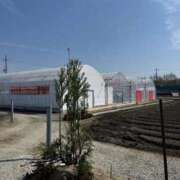 ヒメ日記 2026/04/03 10:00 投稿 じゅり 人妻熟女奉仕倶楽部