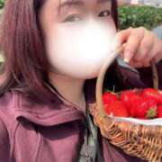 ヒメ日記 2026/04/03 16:20 投稿 じゅり 人妻熟女奉仕倶楽部