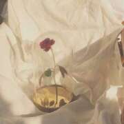 こずえ こずえ（clubさくら日本橋店） club さくら日本橋店