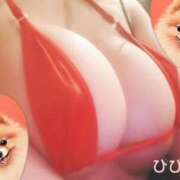 ヒメ日記 2025/02/27 15:56 投稿 ひびき アラカルト