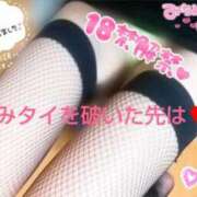 ヒメ日記 2025/04/04 16:12 投稿 ひびき アラカルト