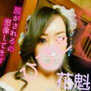 ヒメ日記 2025/04/11 18:46 投稿 ひびき アラカルト