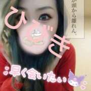 ヒメ日記 2025/04/15 16:11 投稿 ひびき アラカルト