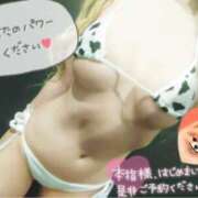 ヒメ日記 2025/06/07 12:25 投稿 ひびき アラカルト