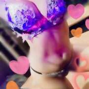 ヒメ日記 2025/08/30 15:10 投稿 ひびき アラカルト