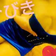 ヒメ日記 2025/09/02 17:00 投稿 ひびき アラカルト