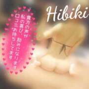 ヒメ日記 2025/11/23 13:00 投稿 ひびき アラカルト