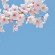 ヒメ日記 2025/10/27 13:30 投稿 ご奉仕婦人えみり【青】 エッチなお店