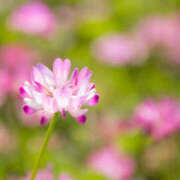 ヒメ日記 2025/10/27 18:05 投稿 ご奉仕婦人えみり【青】 エッチなお店