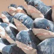 ヒメ日記 2025/12/29 13:16 投稿 ゆうか イメクラ土浦女学園