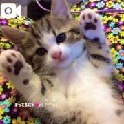 ヒメ日記 2025/06/19 19:43 投稿 一華 王様のヘルス-人妻のおもてなし-