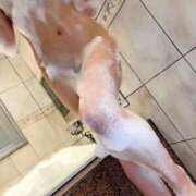 ヒメ日記 2025/09/09 11:04 投稿 CORIN GRAND STAGE