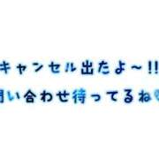 ヒメ日記 2023/12/29 08:52 投稿 クレア バニーコレクション千葉栄町店