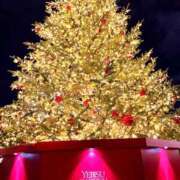 クレア 🧸✨お休みの日のおでかけ✨🧸 バニーコレクション千葉栄町店