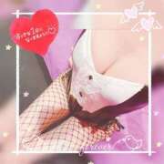 ヒメ日記 2025/12/28 08:59 投稿 クレア バニーコレクション千葉栄町店