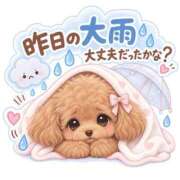 クレア 昨日の雨、大丈夫だったかな？☔️ バニーコレクション千葉栄町店