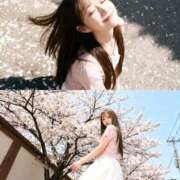 ヒメ日記 2026/03/30 20:36 投稿 せいら フロンティア