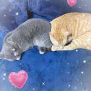 ヒメ日記 2024/12/24 19:41 投稿 神楽◇かぐら 人妻吐息