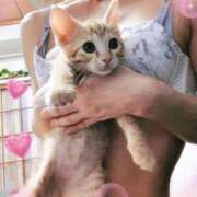 ヒメ日記 2025/01/14 20:02 投稿 神楽◇かぐら 人妻吐息