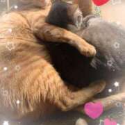 ヒメ日記 2025/01/16 15:41 投稿 神楽◇かぐら 人妻吐息