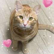 ヒメ日記 2025/02/11 15:51 投稿 神楽◇かぐら 人妻吐息