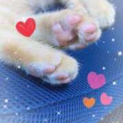 ヒメ日記 2025/04/29 23:51 投稿 神楽◇かぐら 人妻吐息