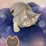 ヒメ日記 2025/07/29 21:31 投稿 神楽◇かぐら 人妻吐息