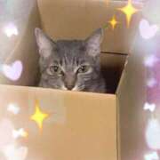 ヒメ日記 2025/08/13 19:21 投稿 神楽◇かぐら 人妻吐息