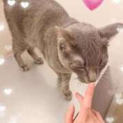 ヒメ日記 2025/09/05 18:02 投稿 神楽◇かぐら 人妻吐息