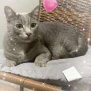 ヒメ日記 2025/11/06 19:21 投稿 神楽◇かぐら 人妻吐息