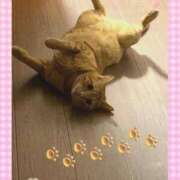 ヒメ日記 2025/11/07 17:09 投稿 神楽◇かぐら 人妻吐息