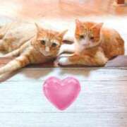 ヒメ日記 2025/11/09 15:01 投稿 神楽◇かぐら 人妻吐息