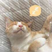 ヒメ日記 2025/11/13 18:21 投稿 神楽◇かぐら 人妻吐息